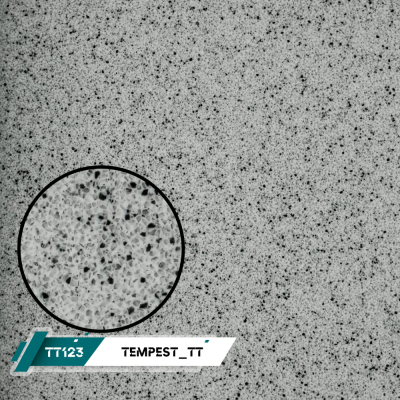 TT123
